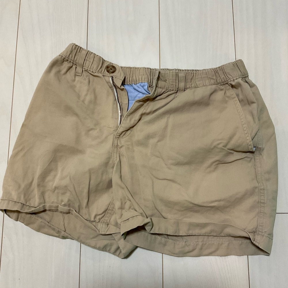 Chubbies Shorts